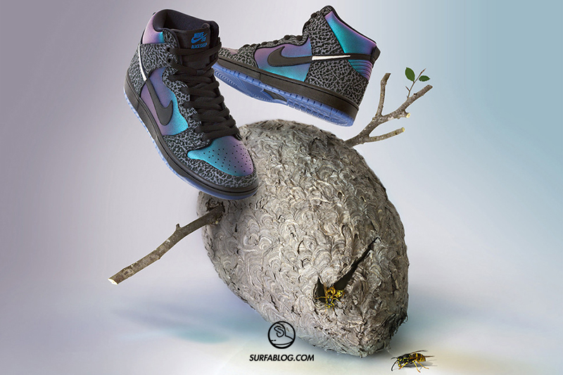 nike dunk shop